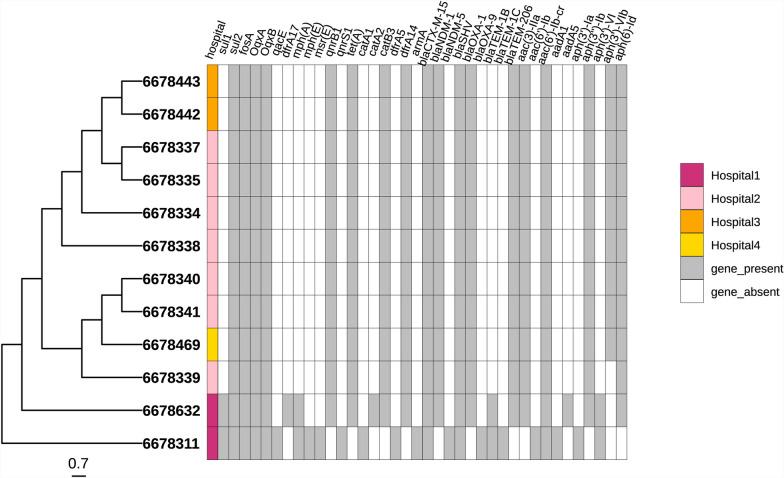 https://cdn.ncbi.nlm.nih.gov/pmc/blobs/3bfc/12013074/a92623752397/13756_2025_1546_Fig7_HTML.jpg