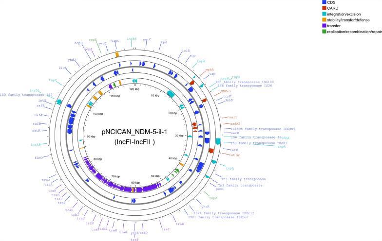 https://cdn.ncbi.nlm.nih.gov/pmc/blobs/3bfc/12013074/c1d5e00ffa85/13756_2025_1546_Fig4_HTML.jpg