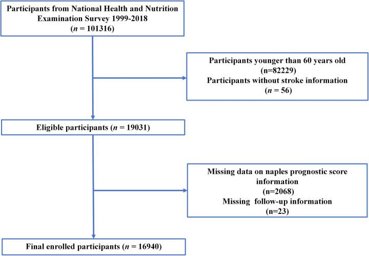 https://cdn.ncbi.nlm.nih.gov/pmc/blobs/3bfc/12020056/364e27492085/40001_2025_2613_Fig1_HTML.jpg