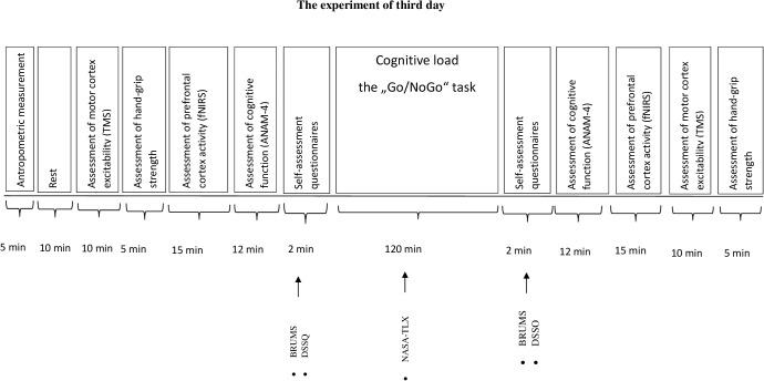 https://cdn.ncbi.nlm.nih.gov/pmc/blobs/3bfd/6127290/7bbc51bb4496/fnins-12-00620-g001.jpg