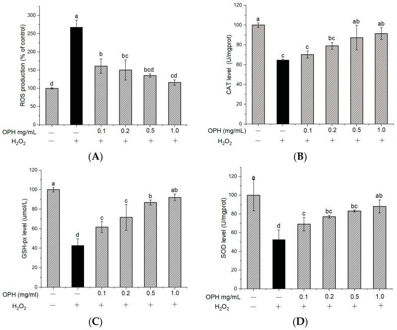 https://cdn.ncbi.nlm.nih.gov/pmc/blobs/3bfe/10780882/060660023d03/nutrients-16-00117-g003.jpg