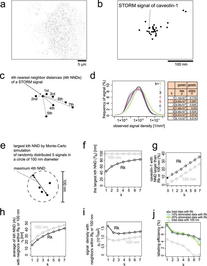 https://cdn.ncbi.nlm.nih.gov/pmc/blobs/3bfe/5552771/c6a7130db31c/41598_2017_8259_Fig2_HTML.jpg