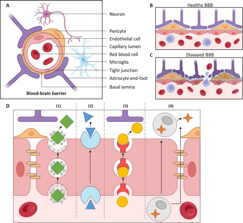 https://cdn.ncbi.nlm.nih.gov/pmc/blobs/3c01/10357415/6c2857bad82a/44258_2023_4_Fig1_HTML.jpg