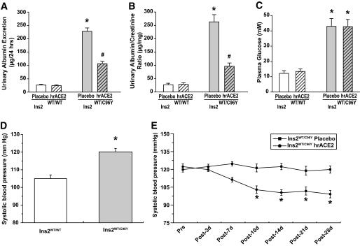 https://cdn.ncbi.nlm.nih.gov/pmc/blobs/3c02/2809962/3c37ee27aec1/zdb0021060060001.jpg
