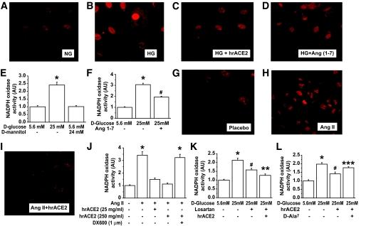 https://cdn.ncbi.nlm.nih.gov/pmc/blobs/3c02/2809962/a547b35f8f27/zdb0021060060006.jpg