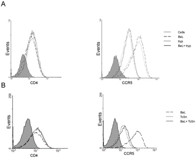 https://cdn.ncbi.nlm.nih.gov/pmc/blobs/3c03/2788415/c0aa6fc9020c/pone.0008246.g007.jpg