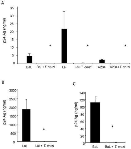 https://cdn.ncbi.nlm.nih.gov/pmc/blobs/3c03/2788415/d2008a65a416/pone.0008246.g001.jpg