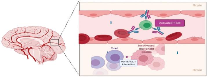 https://cdn.ncbi.nlm.nih.gov/pmc/blobs/3c03/7929780/26262ac5043e/can-15-1176fig5.jpg