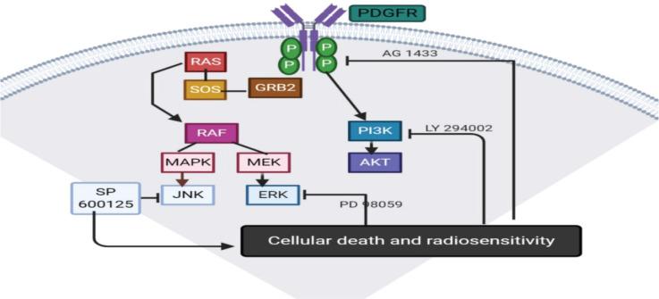 https://cdn.ncbi.nlm.nih.gov/pmc/blobs/3c03/7929780/fc6696cc046b/can-15-1176fig3.jpg