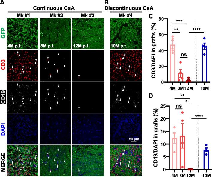 https://cdn.ncbi.nlm.nih.gov/pmc/blobs/3c05/10999398/2b87873a5e67/13619_2024_191_Fig2_HTML.jpg