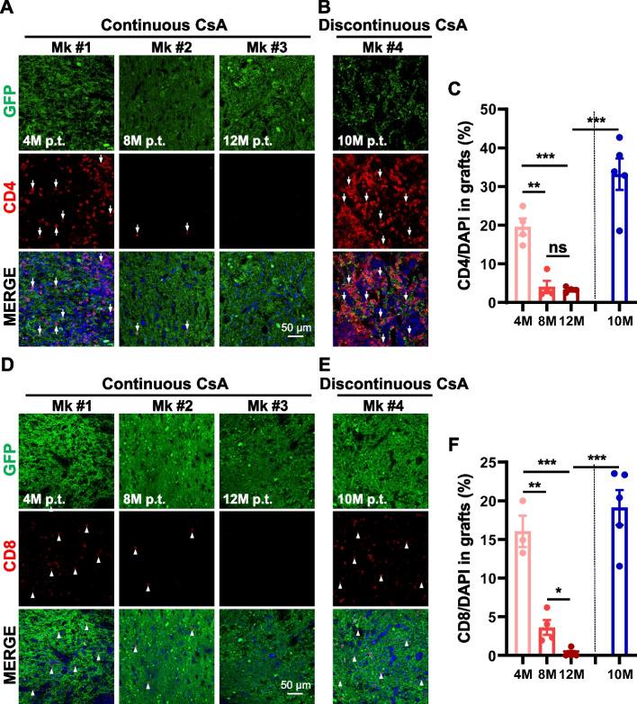 https://cdn.ncbi.nlm.nih.gov/pmc/blobs/3c05/10999398/d5323b9d0d11/13619_2024_191_Fig3_HTML.jpg