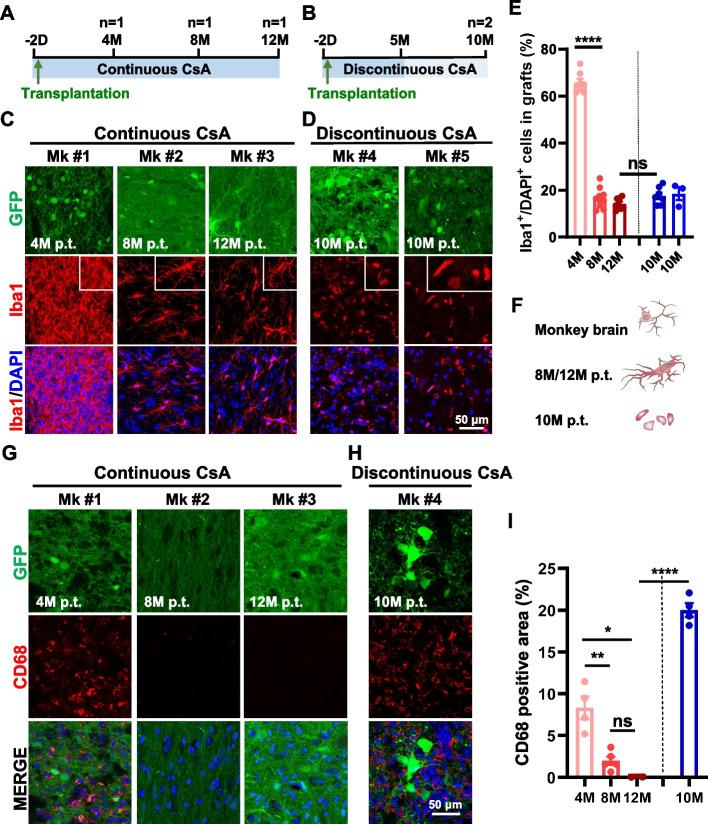https://cdn.ncbi.nlm.nih.gov/pmc/blobs/3c05/10999398/e110ebe59451/13619_2024_191_Fig1_HTML.jpg