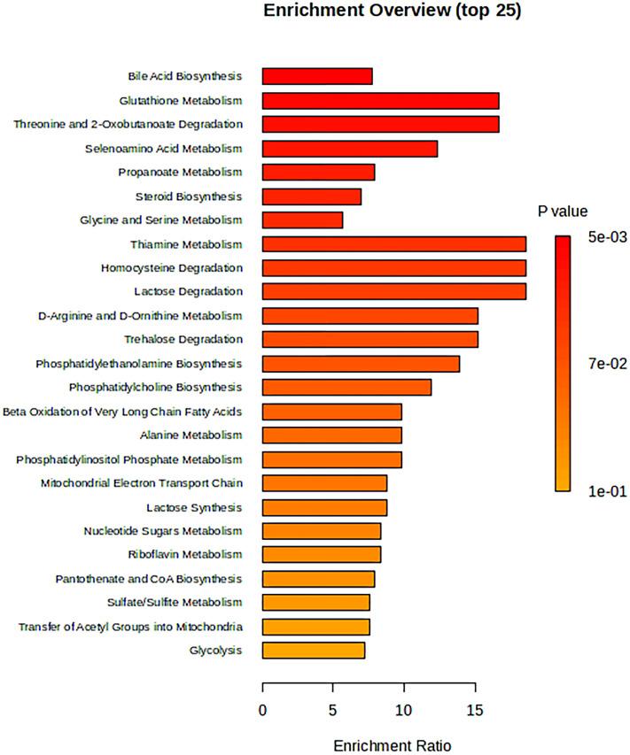 https://cdn.ncbi.nlm.nih.gov/pmc/blobs/3c05/11187323/be1233cf35f6/fpsyt-15-1391535-g003.jpg