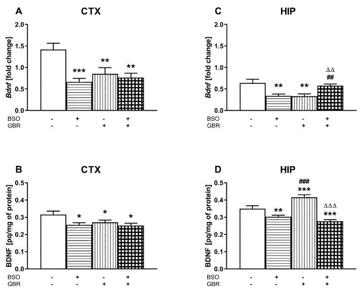 https://cdn.ncbi.nlm.nih.gov/pmc/blobs/3c06/8229148/a42ba0d4c9a4/ijms-22-06171-g005.jpg