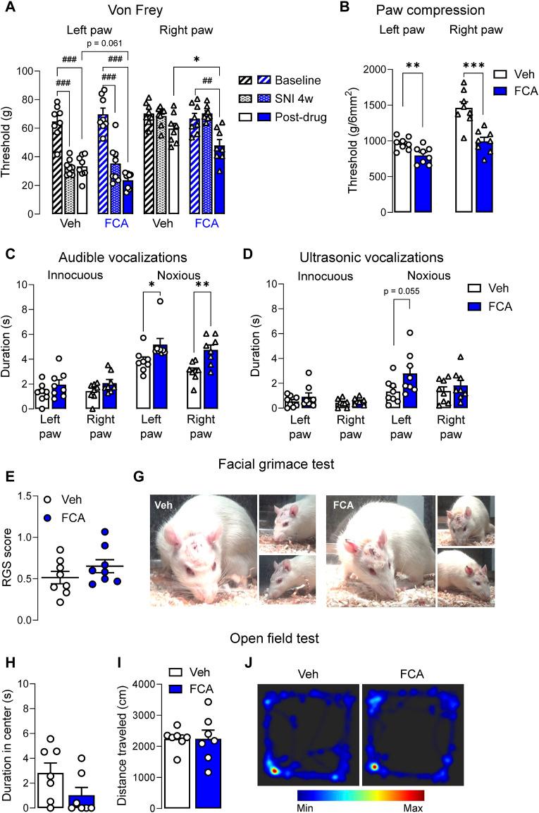 https://cdn.ncbi.nlm.nih.gov/pmc/blobs/3c07/10991799/394fc010f8f8/fphar-15-1368634-g004.jpg