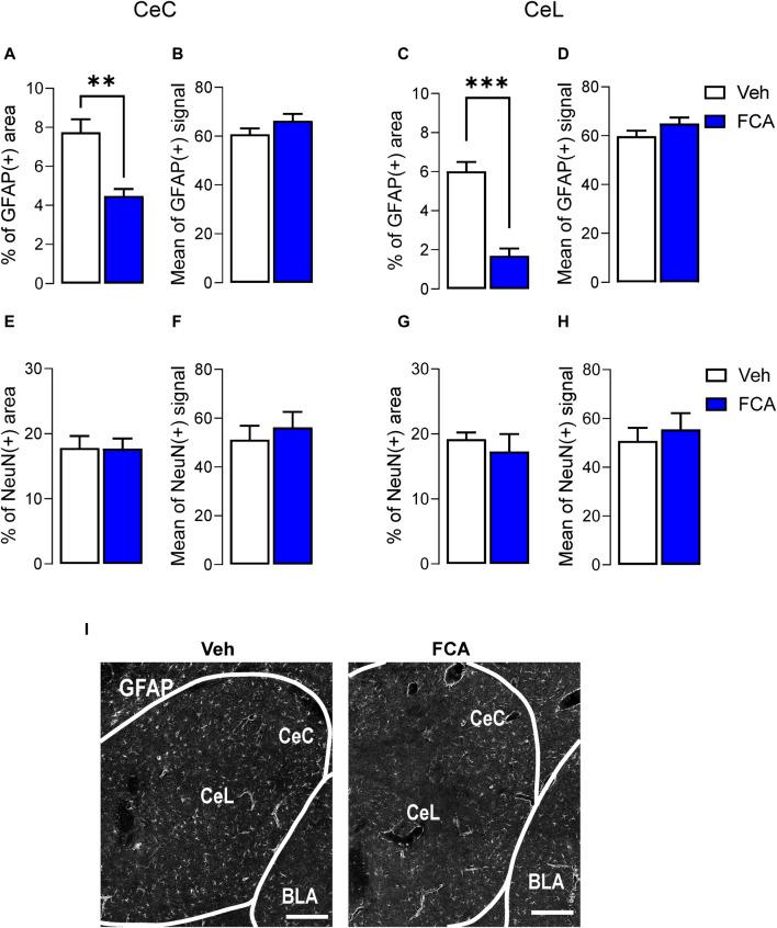 https://cdn.ncbi.nlm.nih.gov/pmc/blobs/3c07/10991799/65ef6838b96b/fphar-15-1368634-g005.jpg