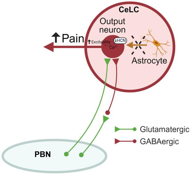https://cdn.ncbi.nlm.nih.gov/pmc/blobs/3c07/10991799/8b0031cb7dc7/fphar-15-1368634-g006.jpg