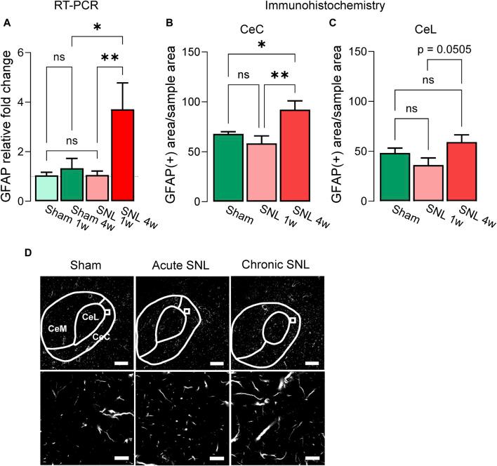 https://cdn.ncbi.nlm.nih.gov/pmc/blobs/3c07/10991799/8df2fc5bb7b0/fphar-15-1368634-g001.jpg