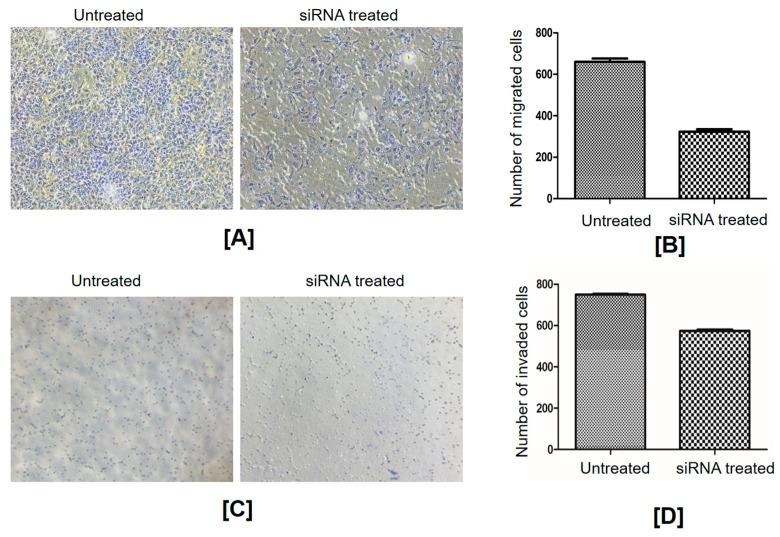 https://cdn.ncbi.nlm.nih.gov/pmc/blobs/3c08/10532047/0abc044f1b26/ijms-24-14239-g006.jpg