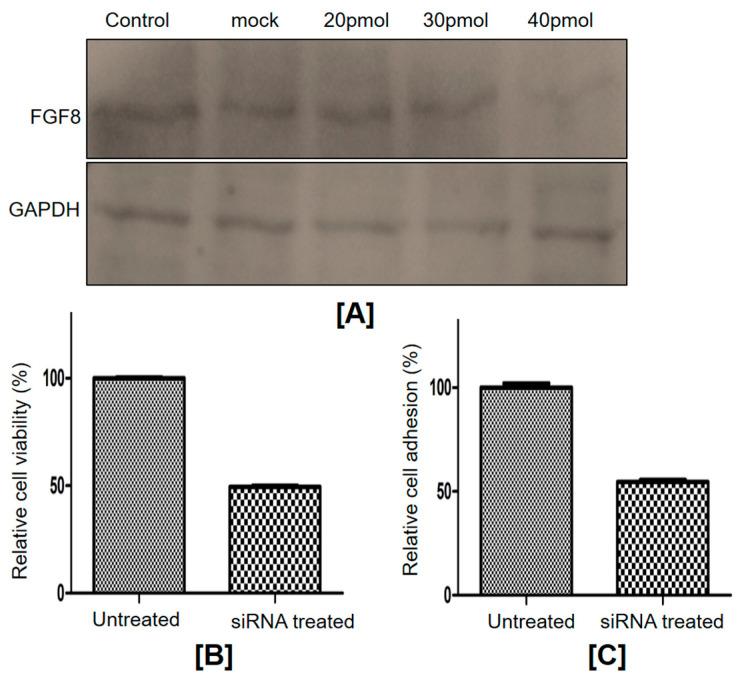 https://cdn.ncbi.nlm.nih.gov/pmc/blobs/3c08/10532047/fed760db2cf3/ijms-24-14239-g004.jpg