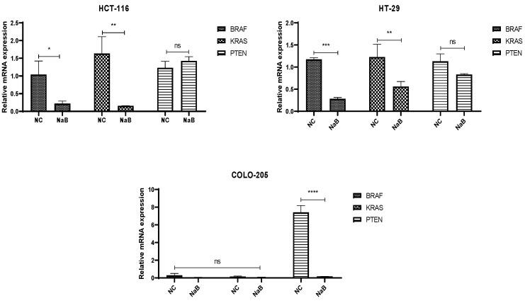 https://cdn.ncbi.nlm.nih.gov/pmc/blobs/3c08/12389482/55ba1f82aa30/pharmaceuticals-18-01171-g005.jpg