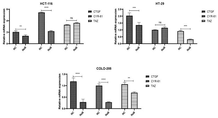 https://cdn.ncbi.nlm.nih.gov/pmc/blobs/3c08/12389482/bf7f15b3be27/pharmaceuticals-18-01171-g010.jpg