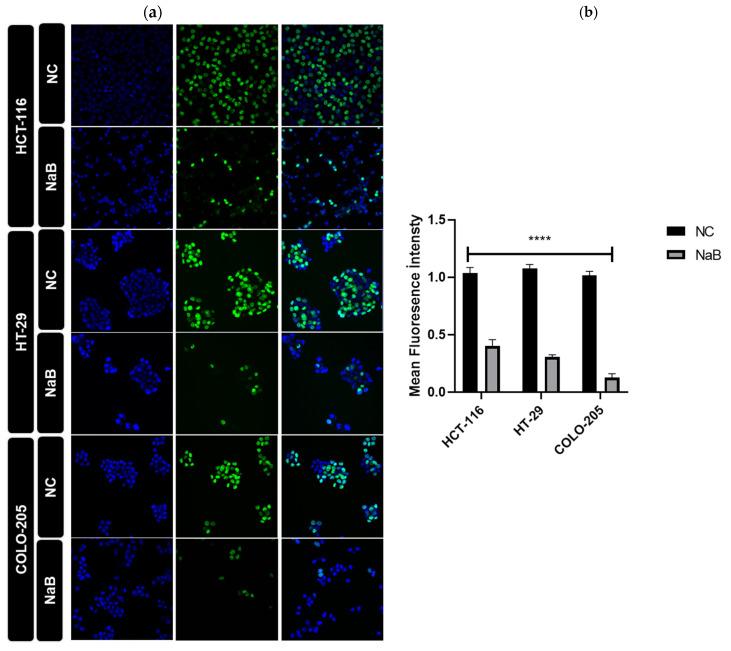 https://cdn.ncbi.nlm.nih.gov/pmc/blobs/3c08/12389482/c104c3dc61bf/pharmaceuticals-18-01171-g009.jpg
