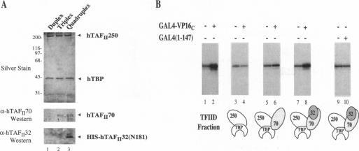 https://cdn.ncbi.nlm.nih.gov/pmc/blobs/3c08/41586/dbd0b67349eb/pnas01489-0040-a.jpg