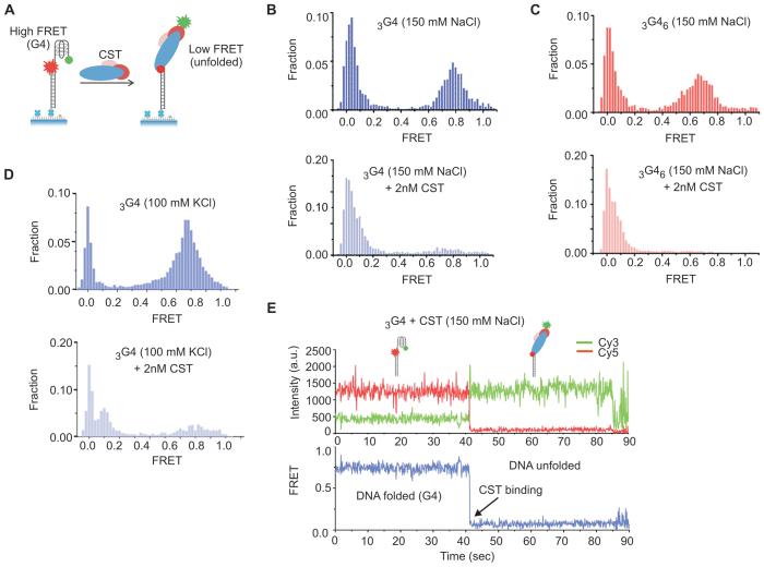 https://cdn.ncbi.nlm.nih.gov/pmc/blobs/3c08/5716219/4a464a9c9a9d/gkx878fig5.jpg