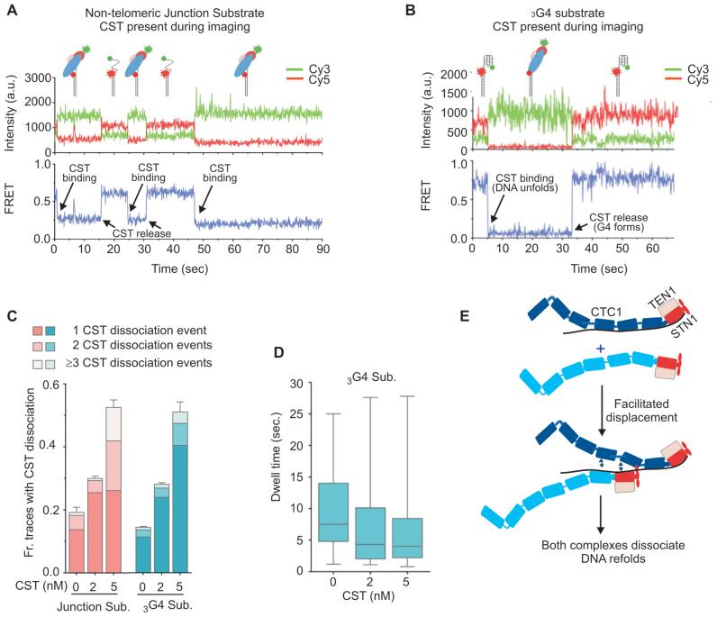 https://cdn.ncbi.nlm.nih.gov/pmc/blobs/3c08/5716219/87a0644d94e5/gkx878fig6.jpg