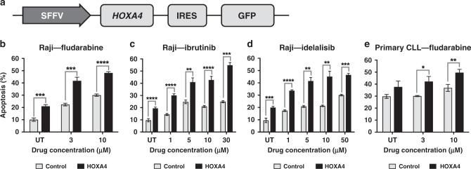 https://cdn.ncbi.nlm.nih.gov/pmc/blobs/3c09/7852668/ef4b6c7f102a/41416_2020_1117_Fig4_HTML.jpg