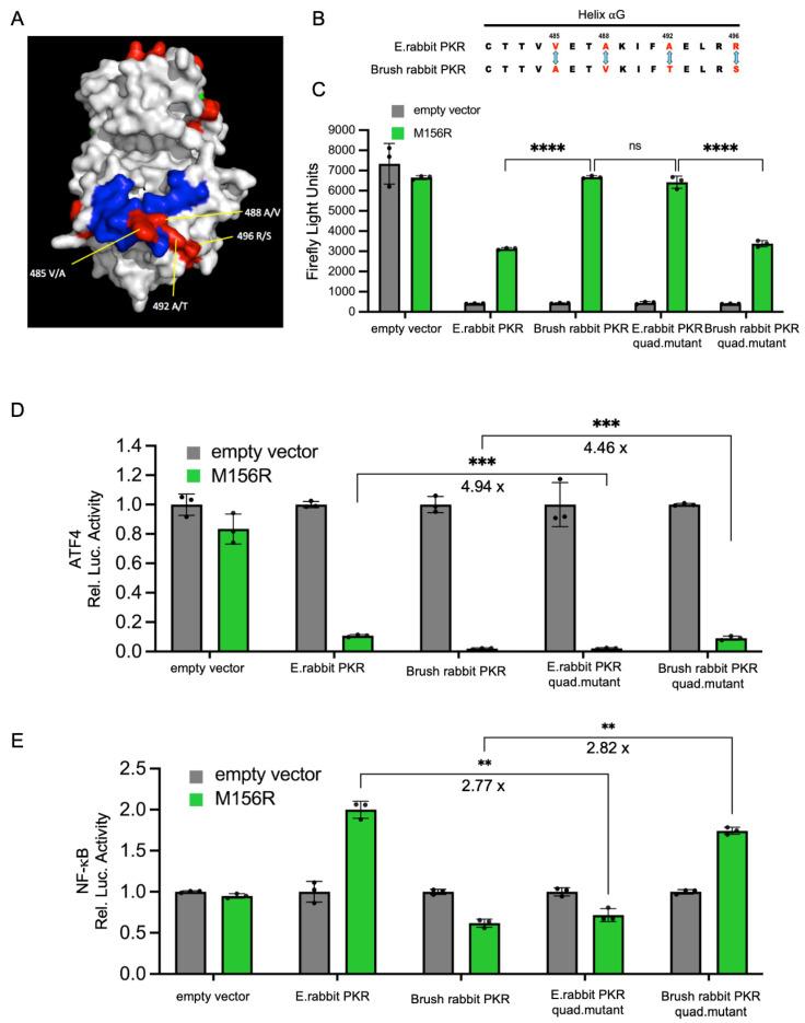 https://cdn.ncbi.nlm.nih.gov/pmc/blobs/3c0b/12390001/0568172453d1/vaccines-13-00800-g005.jpg