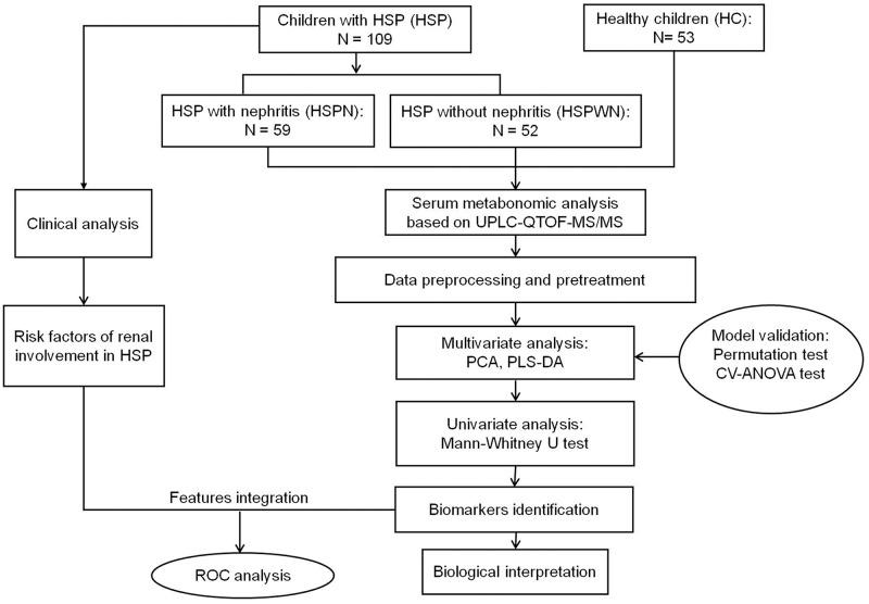 https://cdn.ncbi.nlm.nih.gov/pmc/blobs/3c0b/5768399/503e7cbc1a18/oncotarget-08-114239-g006.jpg