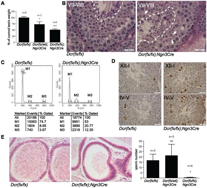 https://cdn.ncbi.nlm.nih.gov/pmc/blobs/3c0e/3174967/c5365be0a79c/pone.0024821.g002.jpg