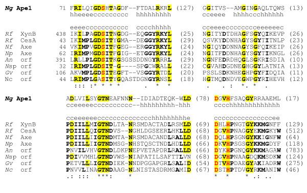 https://cdn.ncbi.nlm.nih.gov/pmc/blobs/3c0f/1199599/2af2029dcc1b/1471-2180-5-49-4.jpg