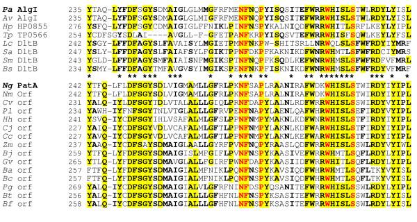 https://cdn.ncbi.nlm.nih.gov/pmc/blobs/3c0f/1199599/cc76a19e658d/1471-2180-5-49-2.jpg