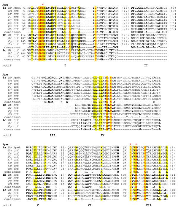 https://cdn.ncbi.nlm.nih.gov/pmc/blobs/3c0f/1199599/f97b5ed12435/1471-2180-5-49-5.jpg
