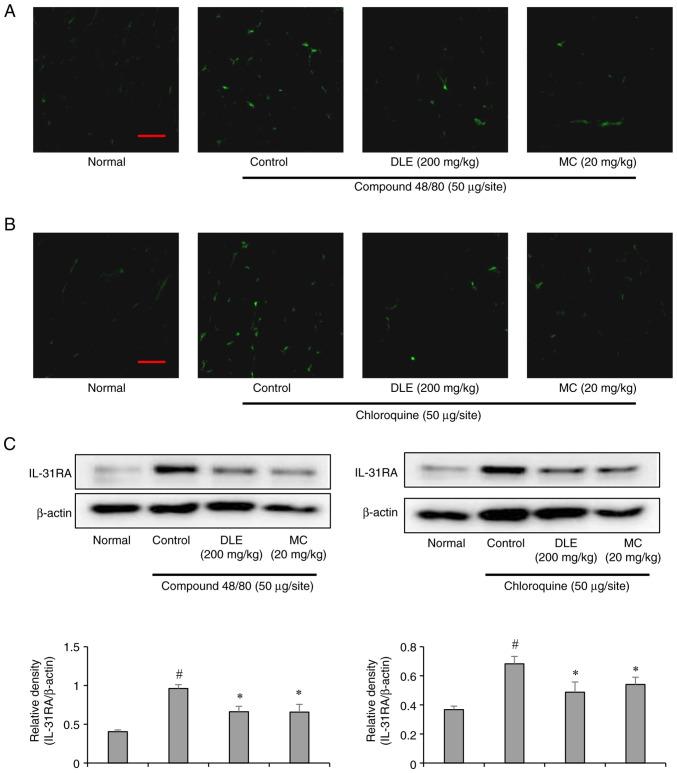 https://cdn.ncbi.nlm.nih.gov/pmc/blobs/3c0f/12035596/e84de977c29b/etm-29-06-12871-g03.jpg