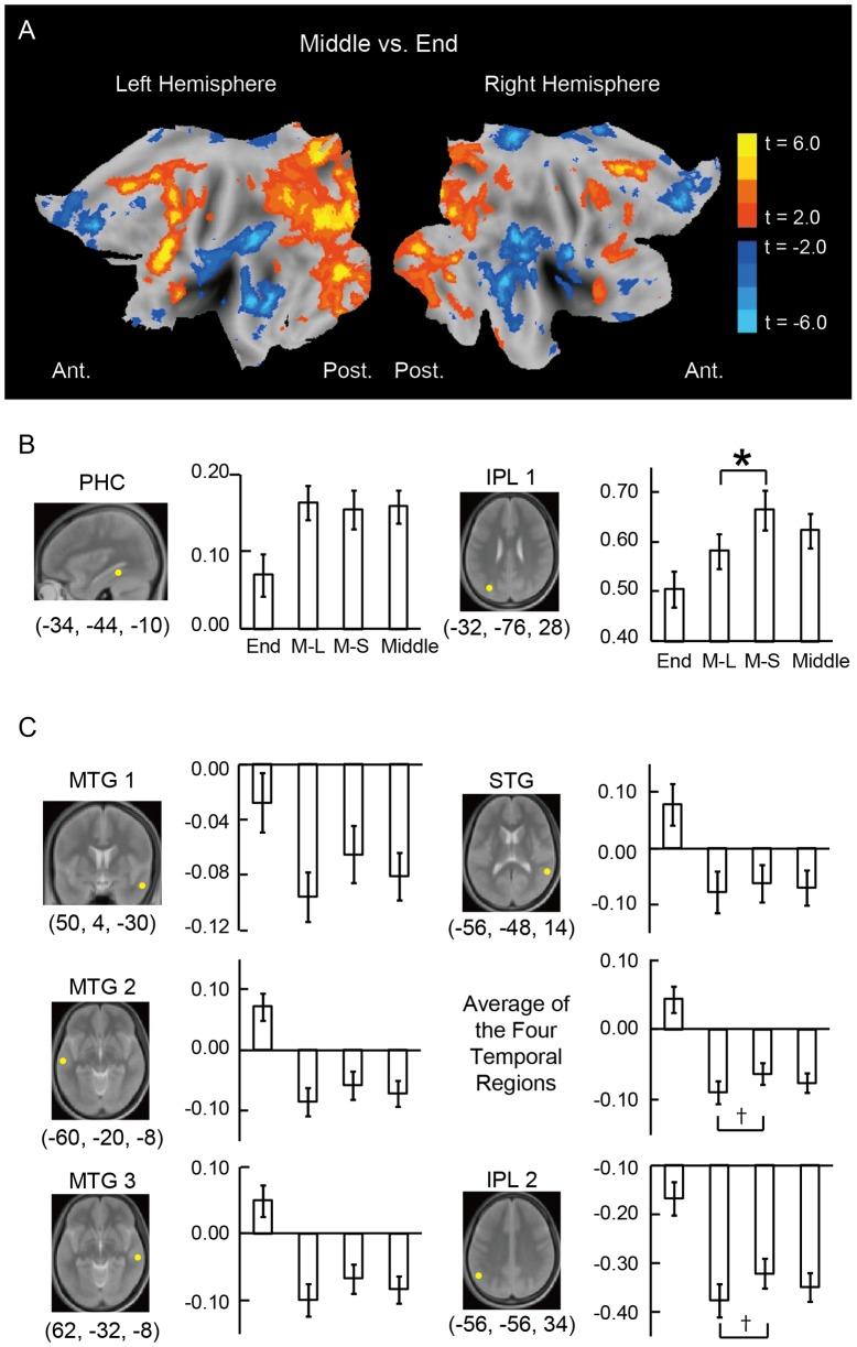 https://cdn.ncbi.nlm.nih.gov/pmc/blobs/3c0f/3756987/05aa14ede306/pone.0071210.g003.jpg
