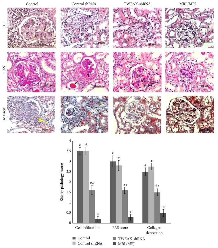 https://cdn.ncbi.nlm.nih.gov/pmc/blobs/3c10/4913011/7d4351a12683/MI2016-8986451.001.jpg