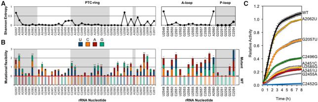 https://cdn.ncbi.nlm.nih.gov/pmc/blobs/3c12/7049736/5d33474dcb63/gkaa001fig2.jpg