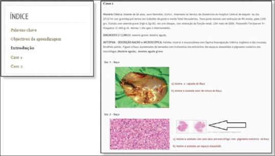 https://cdn.ncbi.nlm.nih.gov/pmc/blobs/3c13/6289002/5e47725bd598/JPI-9-42-g002.jpg