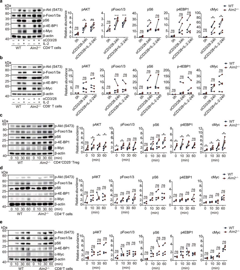https://cdn.ncbi.nlm.nih.gov/pmc/blobs/3c13/8080937/ab8459d96ed9/nihms-1655277-f0013.jpg