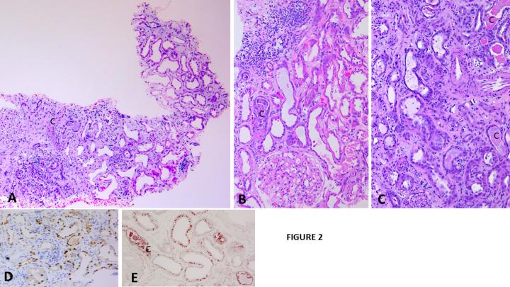 https://cdn.ncbi.nlm.nih.gov/pmc/blobs/3c18/10919848/472a292ecd3d/pone.0295136.g002.jpg