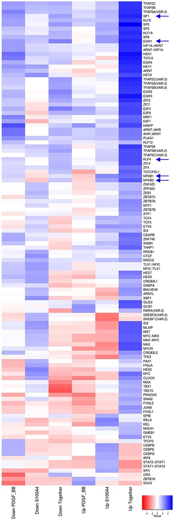 https://cdn.ncbi.nlm.nih.gov/pmc/blobs/3c1b/8752361/32ac40bcf0b3/cvaa311f4.jpg