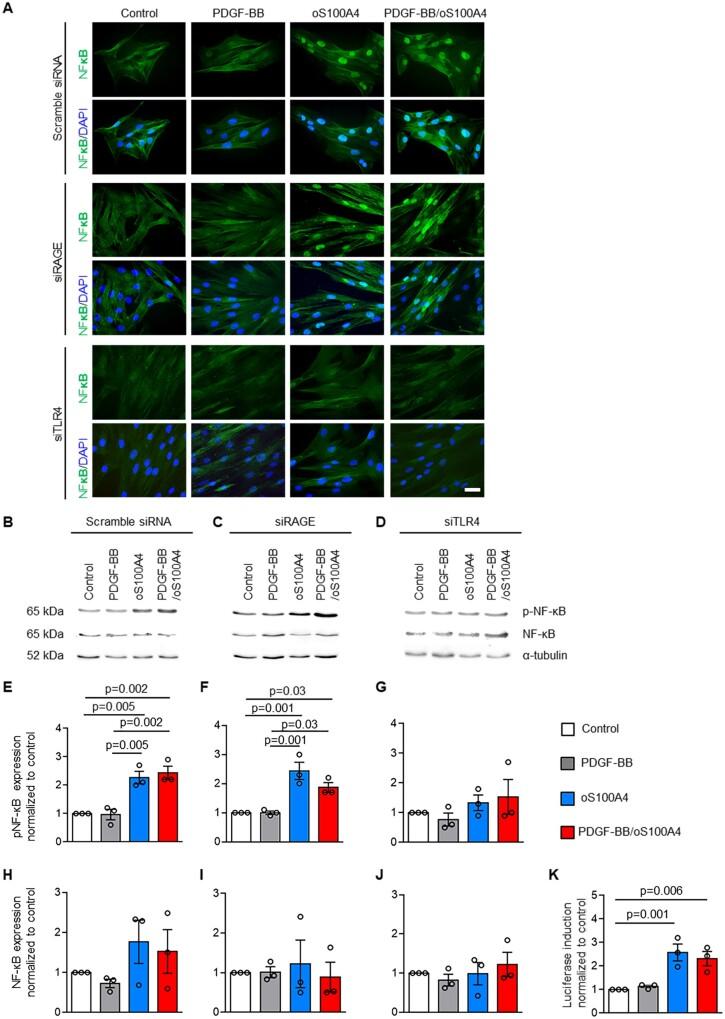 https://cdn.ncbi.nlm.nih.gov/pmc/blobs/3c1b/8752361/3fa96c19736e/cvaa311f2.jpg