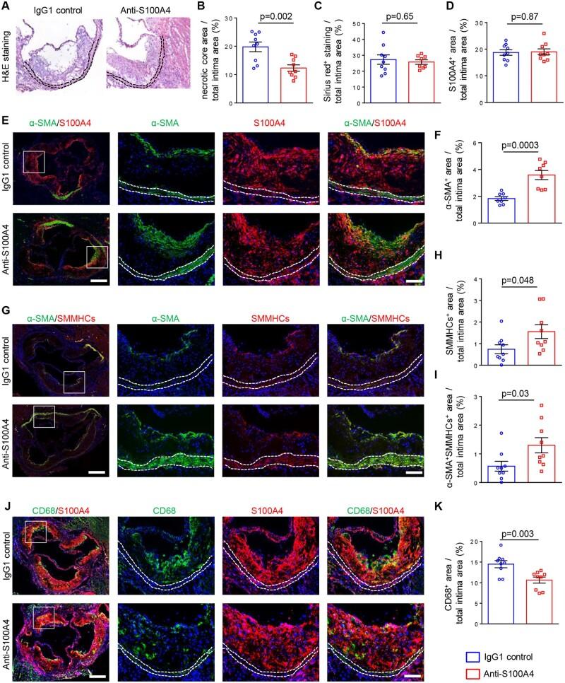 https://cdn.ncbi.nlm.nih.gov/pmc/blobs/3c1b/8752361/602a71ab6b7f/cvaa311f6.jpg
