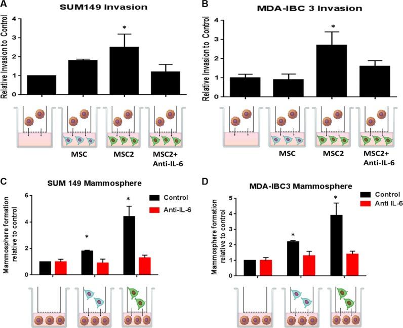 https://cdn.ncbi.nlm.nih.gov/pmc/blobs/3c1c/5347707/5daf50b17a14/oncotarget-07-82482-g003.jpg