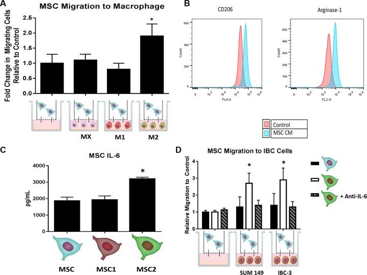 https://cdn.ncbi.nlm.nih.gov/pmc/blobs/3c1c/5347707/7ef20de97dd8/oncotarget-07-82482-g002.jpg