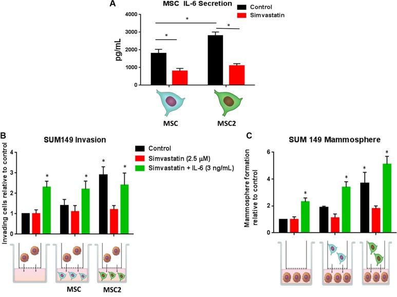 https://cdn.ncbi.nlm.nih.gov/pmc/blobs/3c1c/5347707/f14a6ebce369/oncotarget-07-82482-g004.jpg